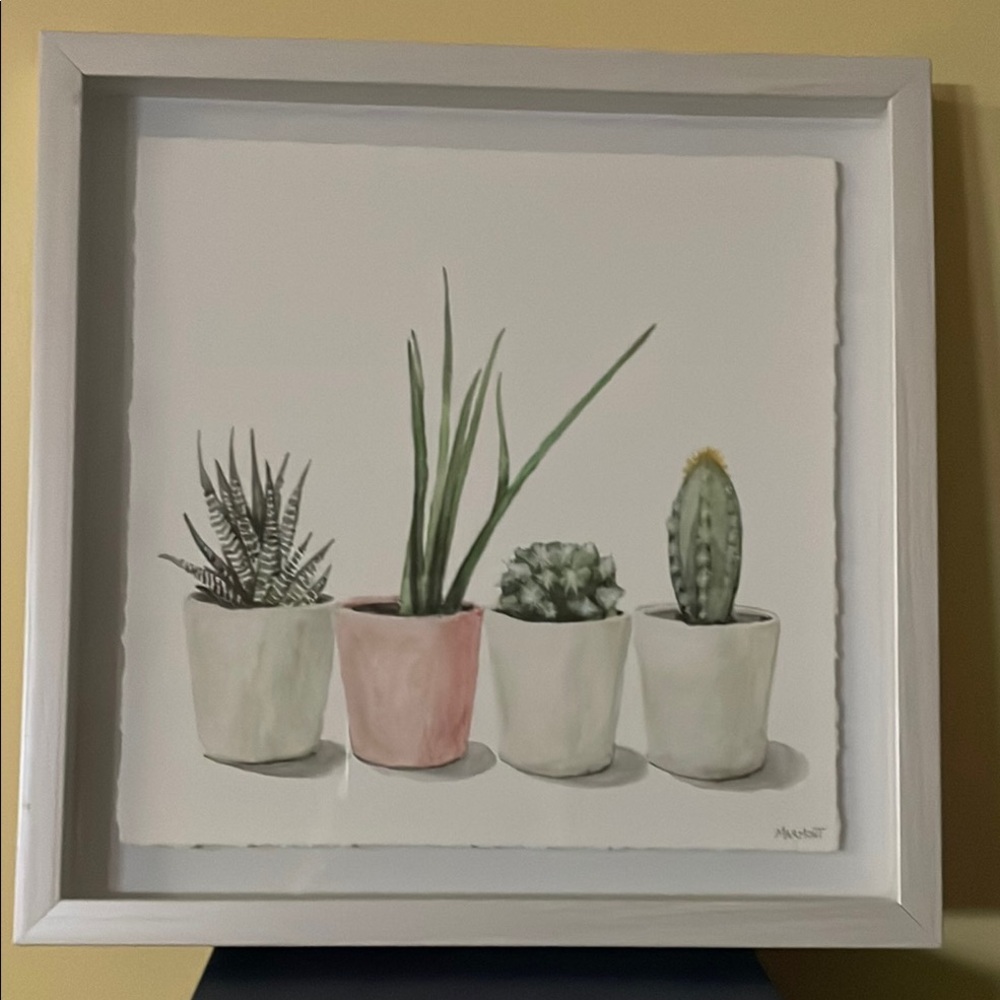 Framed Succulent Art Print
